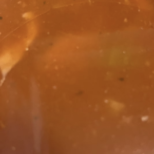 Boston Bean Soup