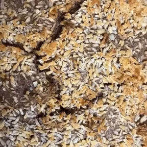 Coconut Tray Bake