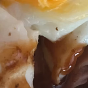 Breakfast Wrap