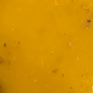 Harvest Soup