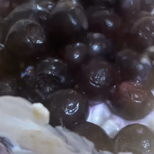 Blueberry