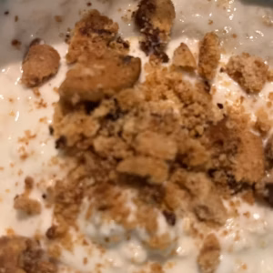 Double Choc Chip